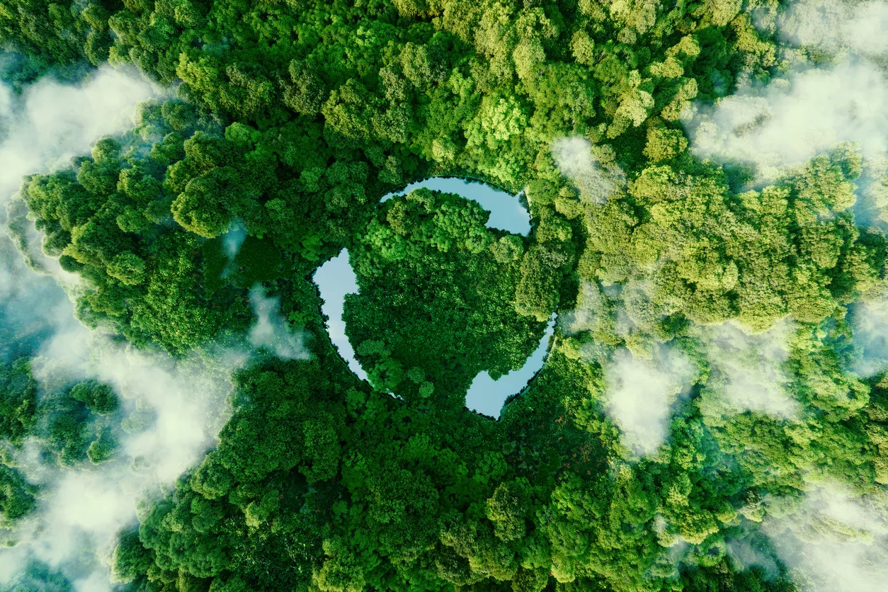 renewable-energy-borit